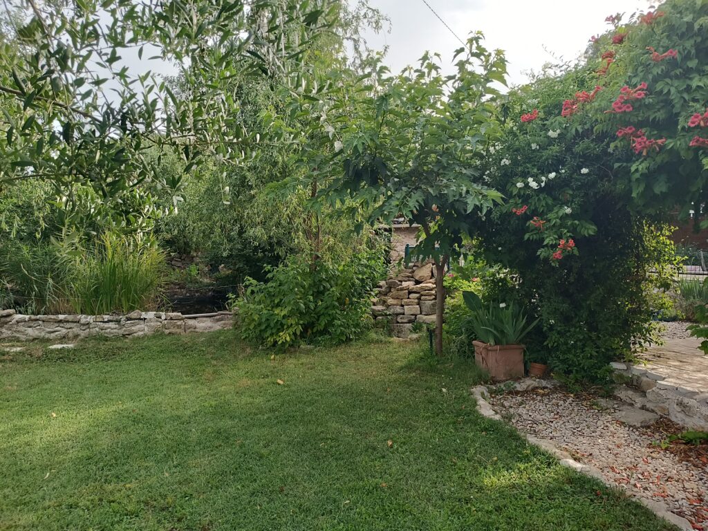 Entretien de jardin et destruction nids de frelons